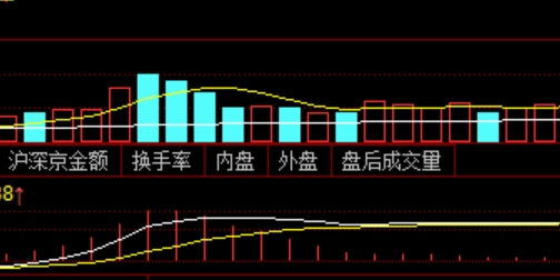 投资新手必看:为何选择股票配资门户助力成功